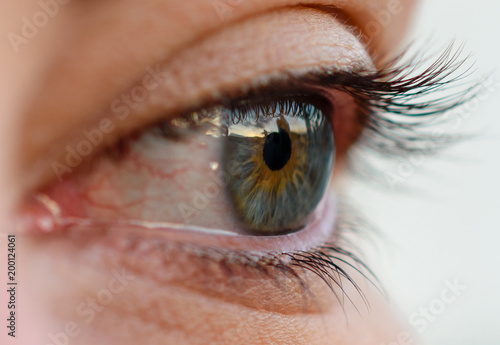 Reflections of the Dusk on an Eye