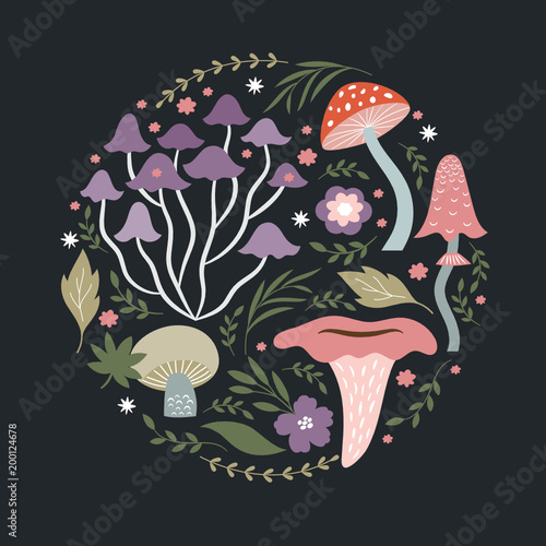 Mushrooms and plants, vector illustration