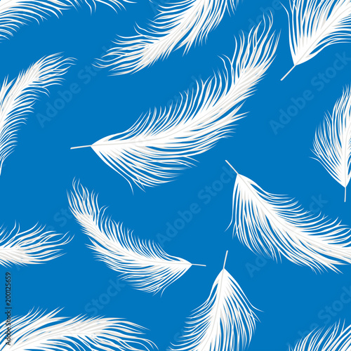 Pattern of the white birds feathers