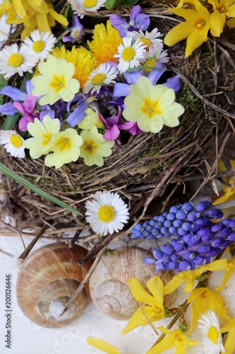 Spring nest with flowers