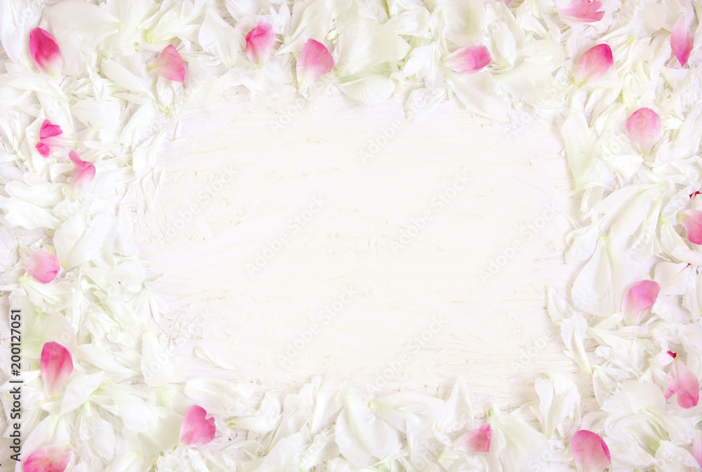 Soft Frame pattern of white and pink petals of peony flowers