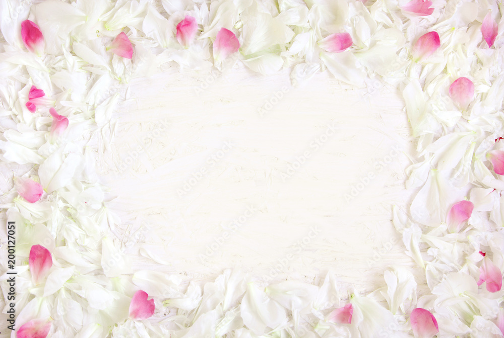 Soft Frame pattern of white and pink petals of peony flowers Soft Frame pattern of white and pink petals of peony flowers