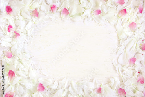Wallpaper Mural Soft Frame pattern of white and pink petals of peony flowers Torontodigital.ca