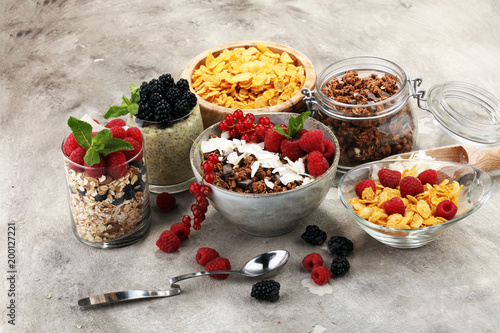 Cereal and ingredients for a healthy breakfast with chia pudding, granola, cornflakes and berries