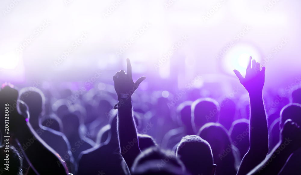 Picture of dancing crowd at music festival Picture of dancing crowd at music festival