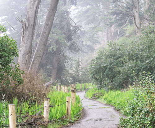 Photography Lands End Hike