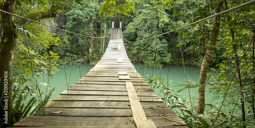 Bridge In Rio Blanco National Park Belize