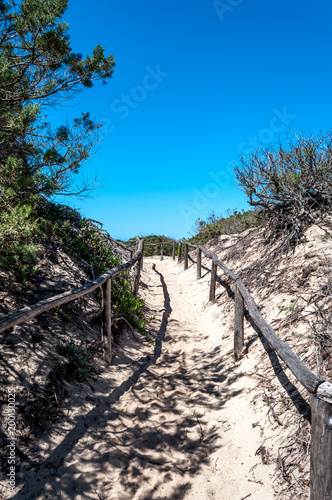 Fototapeta Naklejka Na Ścianę i Meble -  path towards the sea through the beach