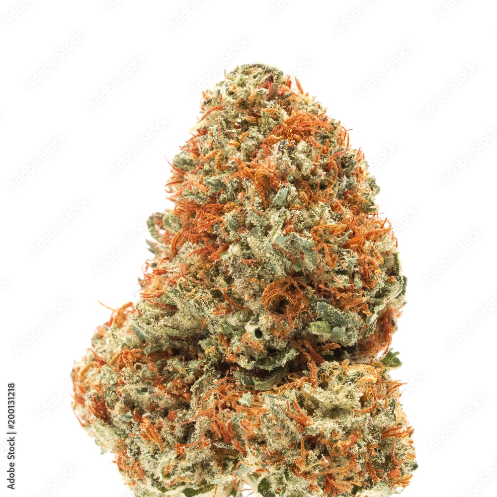 Chocolate Hashberry Medical Cannabis Weed Bud Stock Photo Adobe Stock