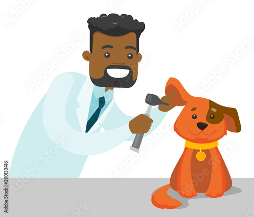 African-american veterinarian doctor examining the dog in the hospital. Veterinarian checking the ear of dog with otoscope at vet clinic. Concept of medicine and pet care. Vector cartoon illustration.