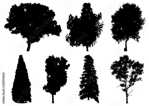 Silhouettes of different trees