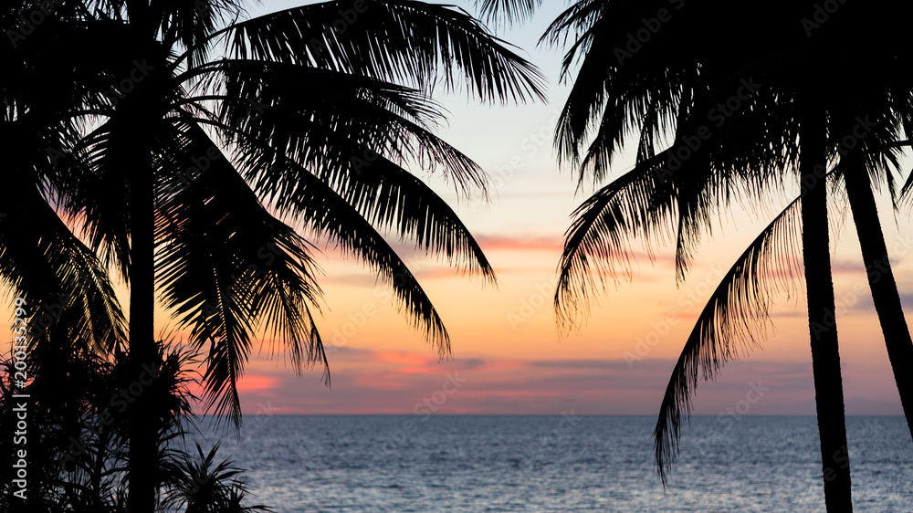 Silhouettes of tropical palms on the beach at sunset. Beautyful multicolor sky and sea view - picturesque seascape