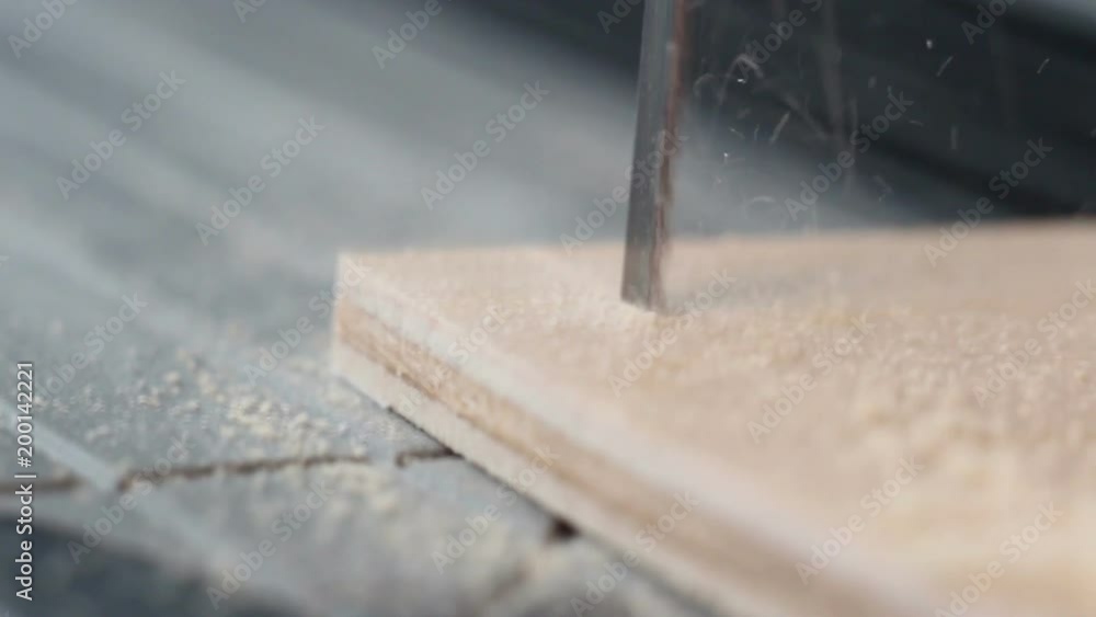 Man cuts plywood with electric saw
Man cuts plywood with electric saw