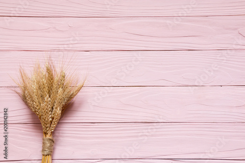 A bunch of spikelets lay on pink wooden background.