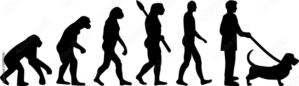 Basset hound evolution