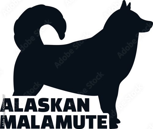 Alaskan malamute silhouette real word