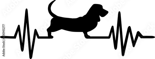 Basset hound heartbeat