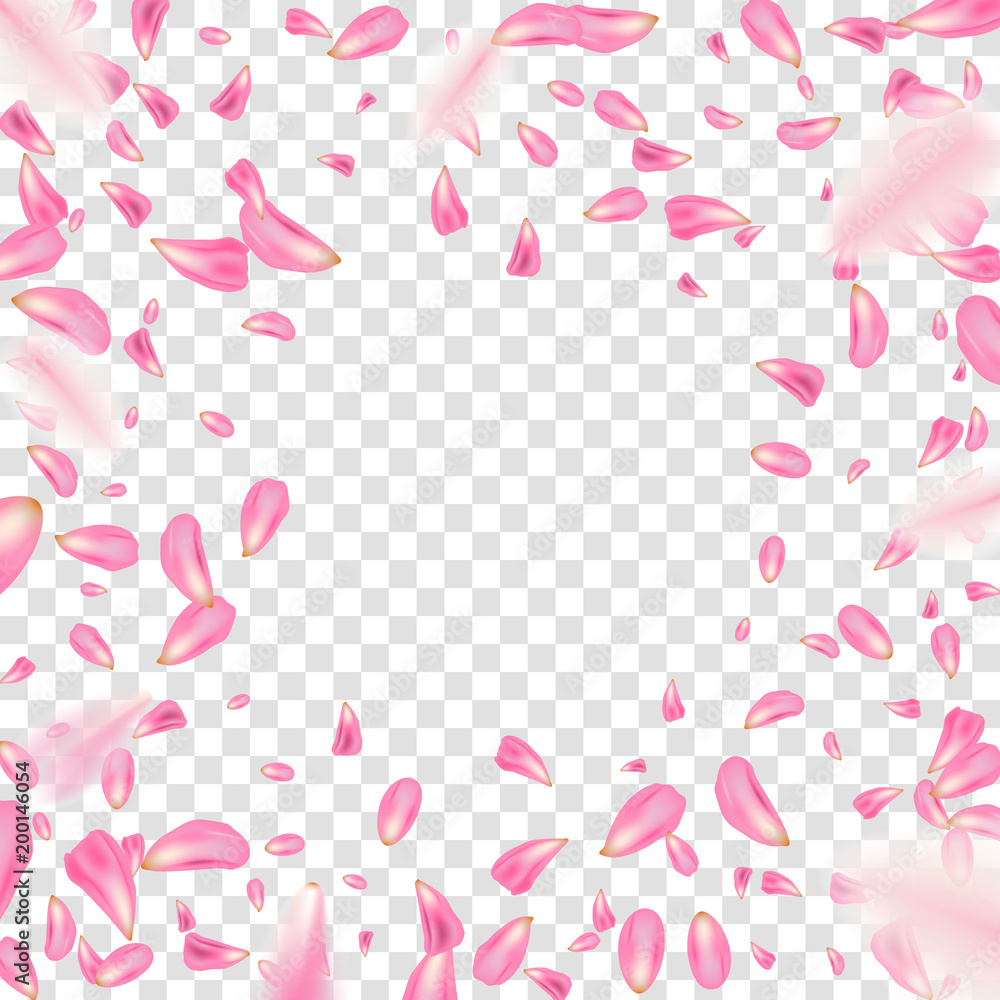 Creative vector illustration of flowers petals falling on vector transparent background. Pink, red rose or sakura flying backdrop for, mother, women day. Art design. Abstract concept graphic element.