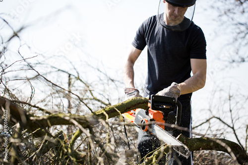 Professional gardener cutting some trees by electric chain saw, flying sawdust