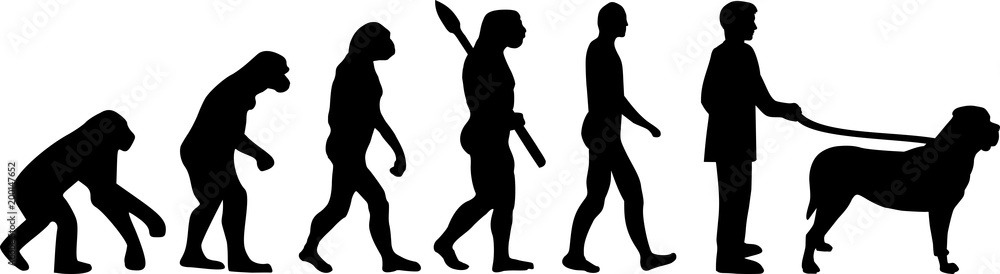Mastiff evolution darwin