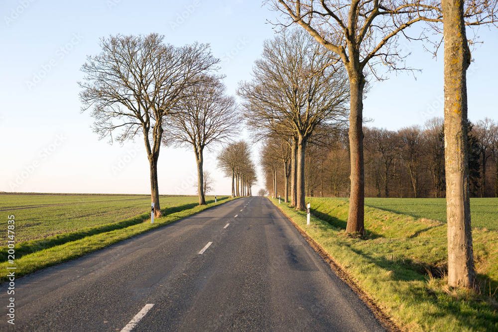 leere Strasse mit Feldern und Bäumen am Strassenrand bei sonnigem Wetter und blauem Himmel