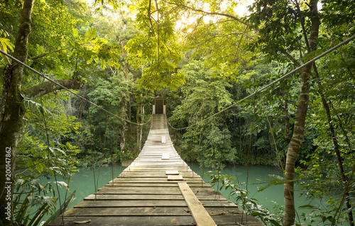 Tableau sur toile Tranquil Forest Footbridge In Belize
