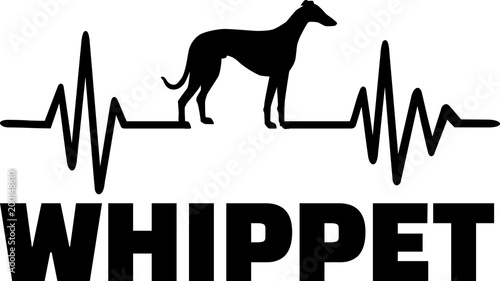 Fotografija Whippet heartbeat word