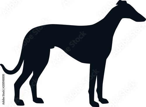 Whippet silhouette black