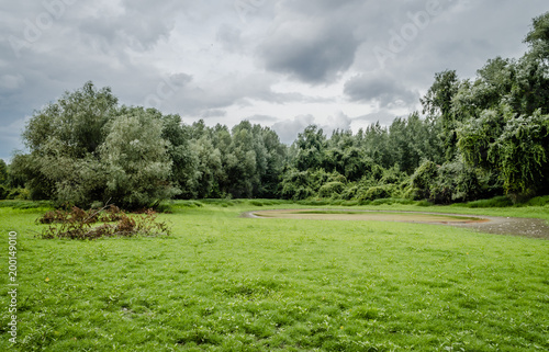 Swamp in Petrovaradin near the town of Novi Sad 