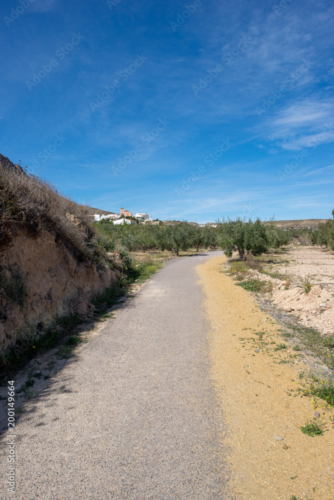 The green way of Lucainena under the blue sky in Almeria The green way of Lucainena under the blue sky in Almeria