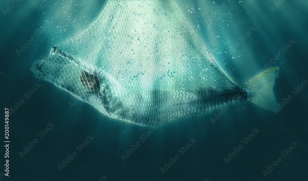 Mermaid in fishing nets Stock Photo