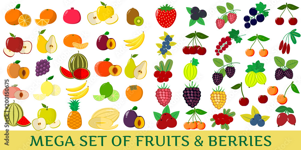 Mega set of fresh fruits and berries illustrations on a white background. Mega set of fresh fruits and berries illustrations on a white background.
