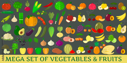 Mega set of fresh vegetables and fruits illustrations on a dark background.