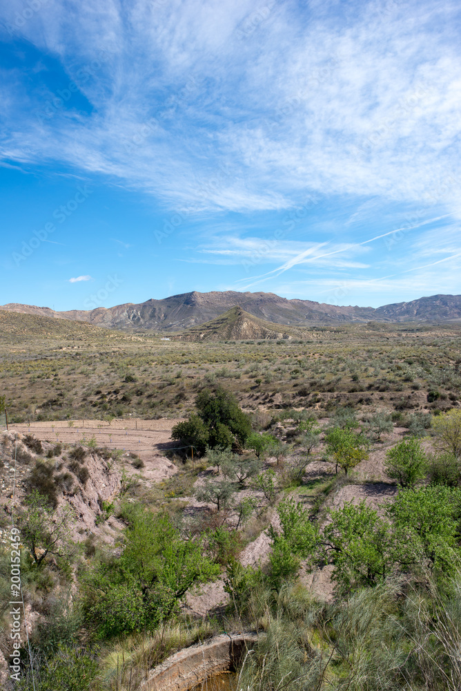 The green way of Lucainena under the blue sky in Almeria The green way of Lucainena under the blue sky in Almeria