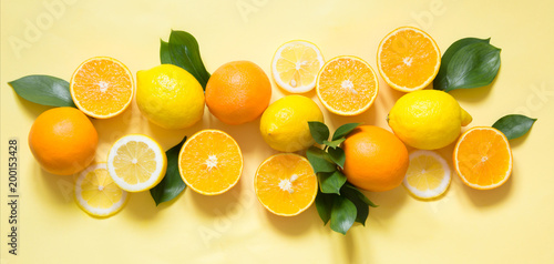 Summer tropical concept. Set of lemon, orange and green leaves on yellow. Banner.