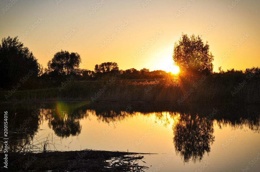 Beautiful sunset scene on the lake with bulrush at the coast. Summer rural landscape.