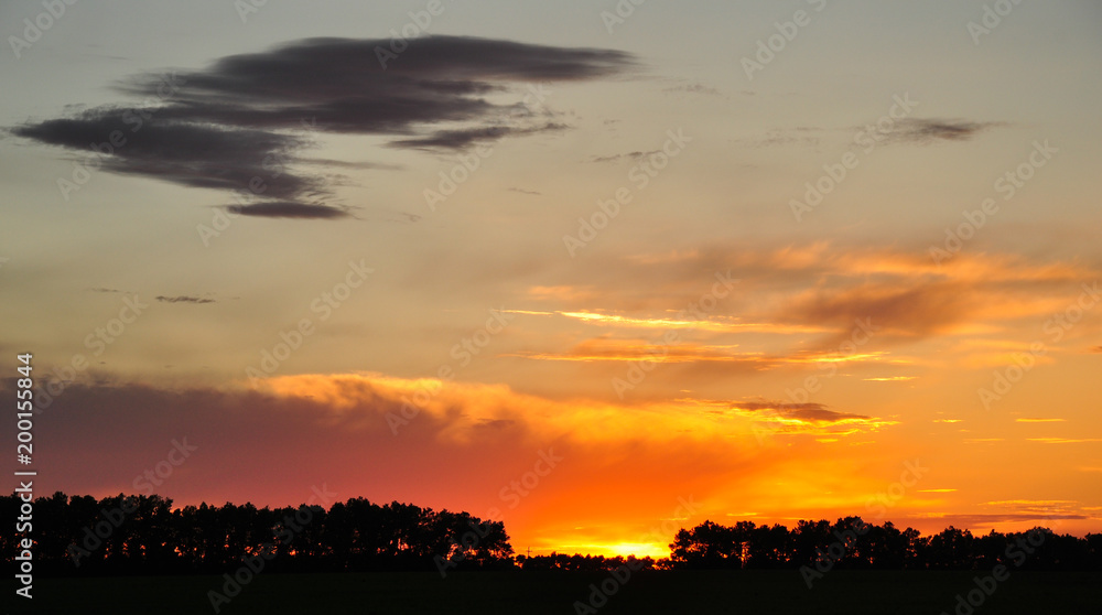 Golden sunset sky above the silhouettes of trees and field.