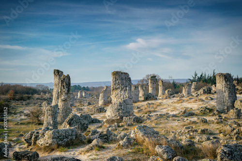 Photo Pobiti Kamani, The Stone Forest near Varna in Bulgaria