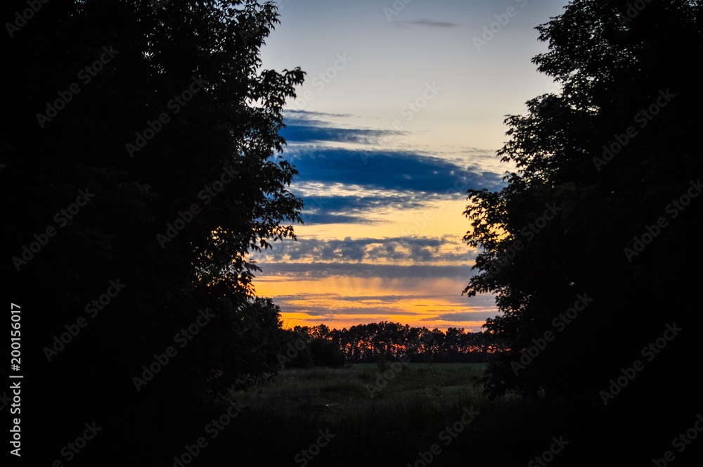Golden sunset sky above the silhouettes of trees and field. Golden sunset sky above the silhouettes of trees and field.