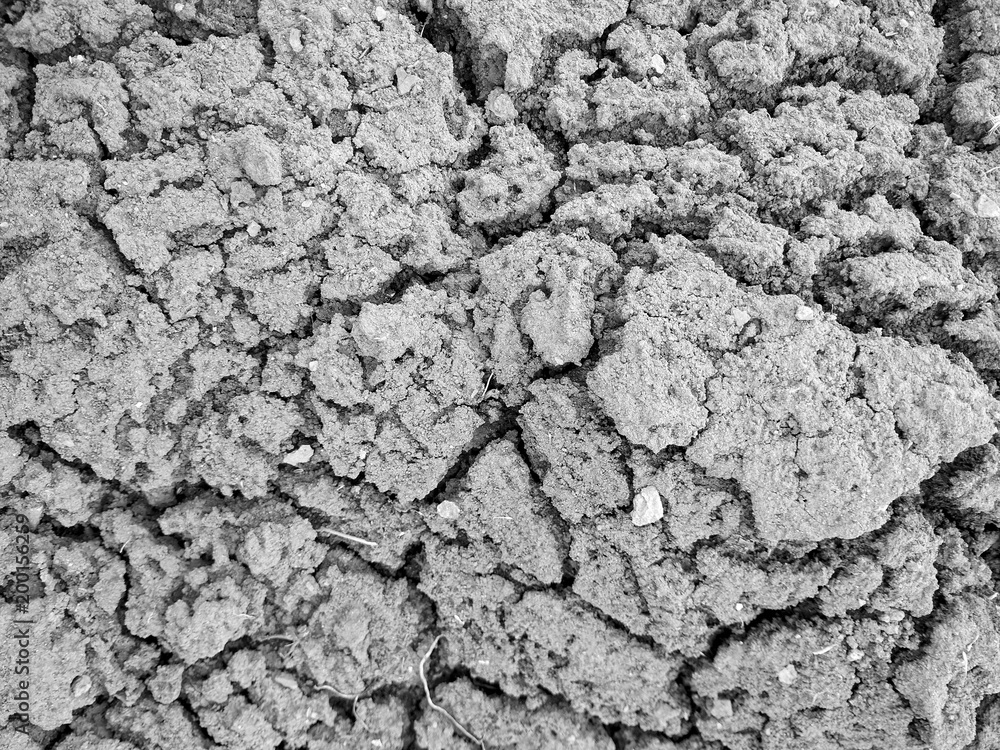 Dry cracked earth, cracks in the ground, dehydration problem, global warming, climate change, black and white color, natural texture, abstract background Dry cracked earth, cracks in the ground, dehydration problem, global warming, climate change, black and white color, natural texture, abstract background