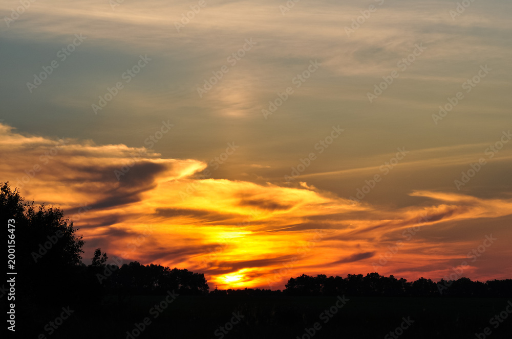 Golden sunset sky above the silhouettes of trees and field.