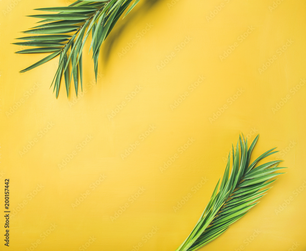 Fototapeta premium Zielone palmy rozgałęziają się nad żółtym tłem, odgórny widok, kopii przestrzeń. Letnie wakacje lub koncepcja podróży