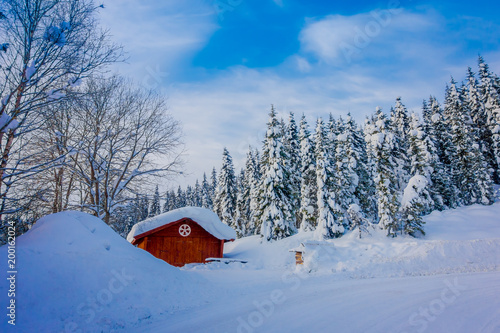 Gorgeous outdoor view of snow in pine trees inside of dense forest during a heavy winter and typical wooden red house