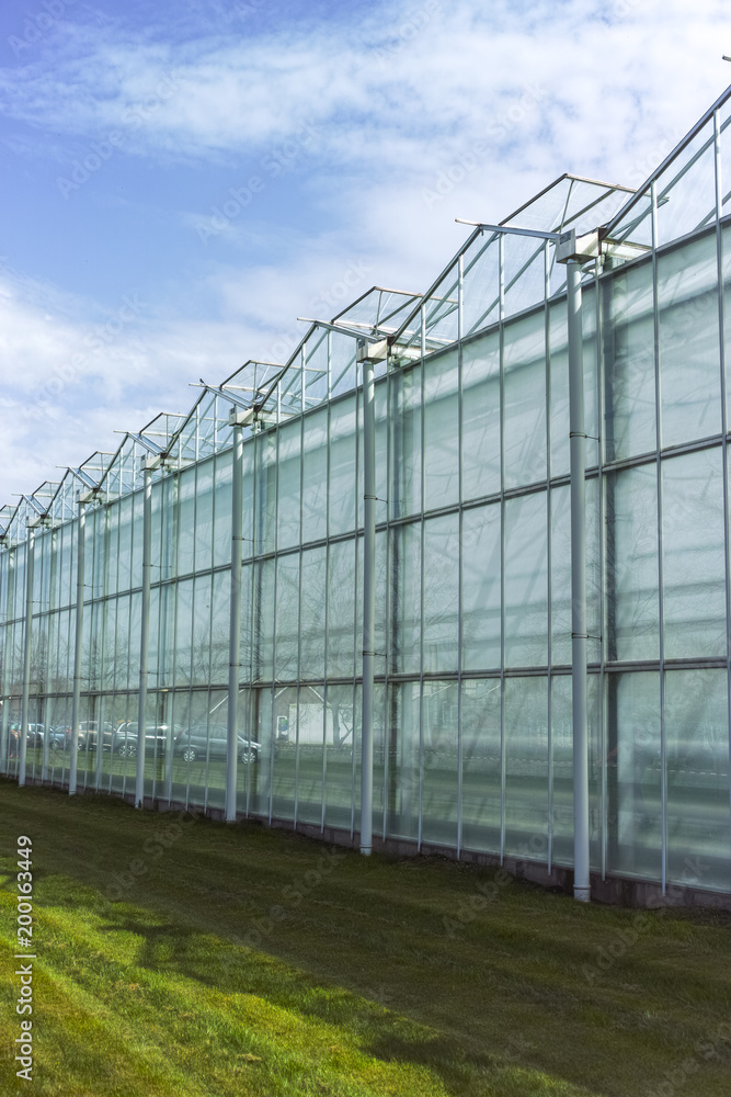 New empty big greenhouse, view outside with blue sky New empty big greenhouse, view outside with blue sky