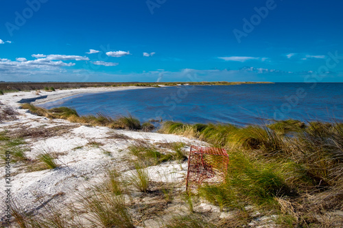 Pamlico Sound beach in October photo