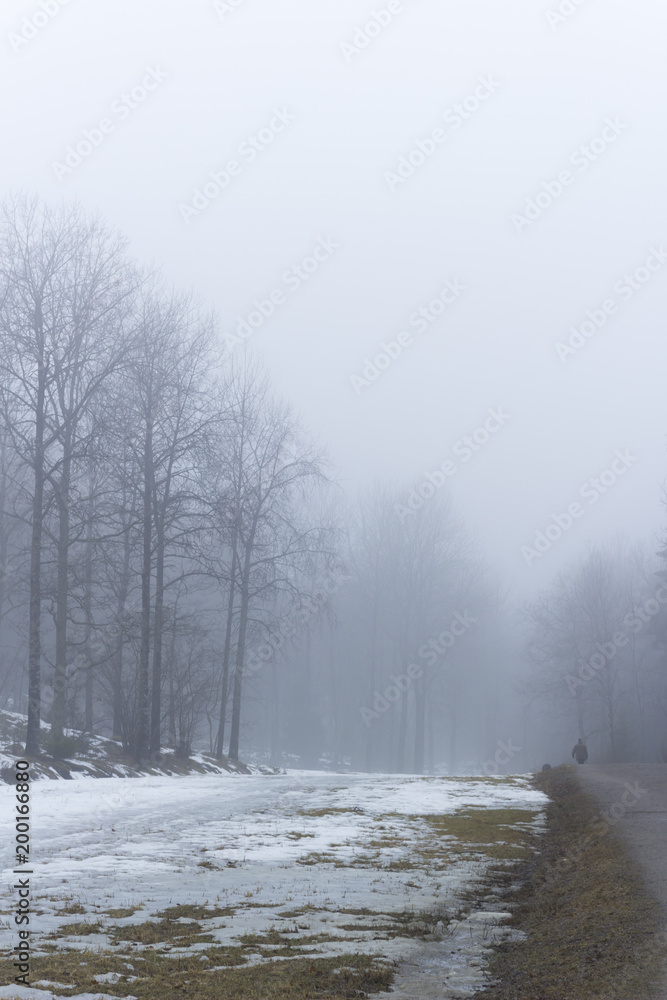 Field and road - with a man in the distance - in a forest, surrounded by trees. Misty, moody, day. Nackareservatet - nature reserve in Sweden. Field and road - with a man in the distance - in a forest, surrounded by trees. Misty, moody, day. Nackareservatet - nature reserve in Sweden.