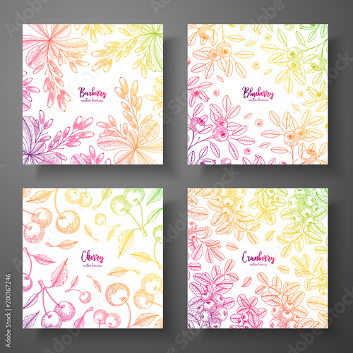 Set of colorful botanical cards with berries. Great design for natural and organic products. Vector vintage frame with cherry, cranberry, bluberry, barberry.