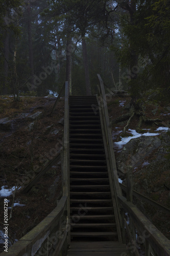 Fototapeta Naklejka Na Ścianę i Meble -  Stairway up a mountain, to a forest. Nackareservatet - nature reserve in Sweden