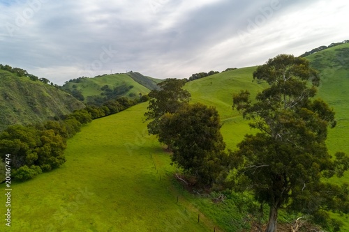 Sunol Brick Yard photo