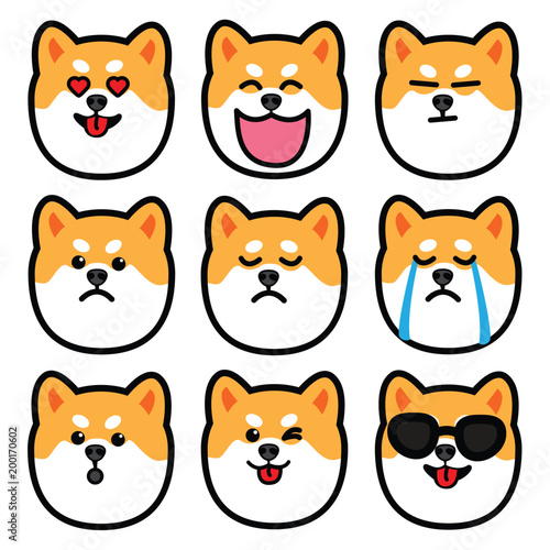 Fototapeta Naklejka Na Ścianę i Meble -  dog head, cute shiba inu emotions icon set, vector illustration